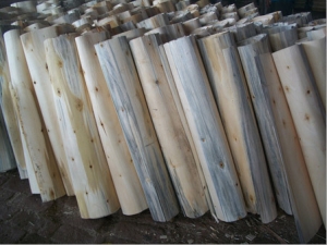 Manufacturers Exporters and Wholesale Suppliers of Popular Wood Veneers Yamunanagar Haryana